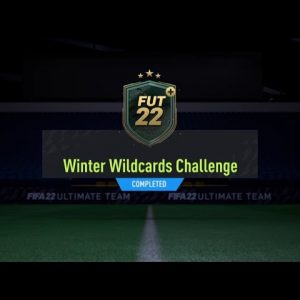 FIFA 22 SBC - WINTER WILDCARDS CHALLENGE - NO LOYALTY [CHEAP]